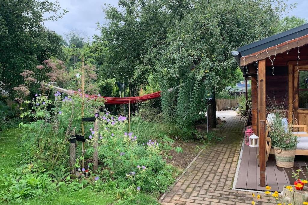 Strandlust Doebeln - Bungalow Fuer Eine Gemuetliche Auszeit Exteriér fotografie